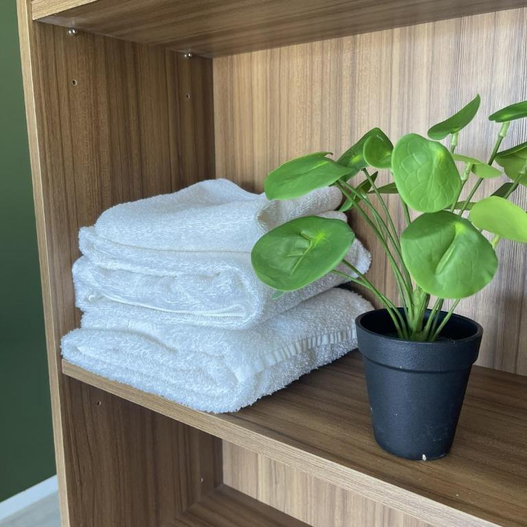 Belgrano Apartments - One-Bedroom Apartment - 8