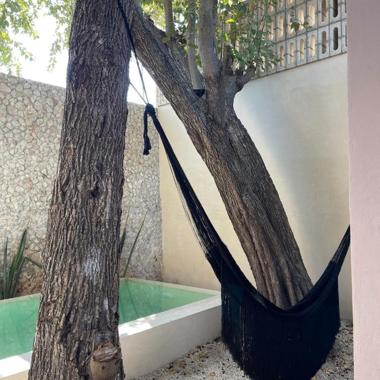 Stylish Escape in Mérida Centro, Vibrant Nightlife Nearby - Two-Bedroom House - 22