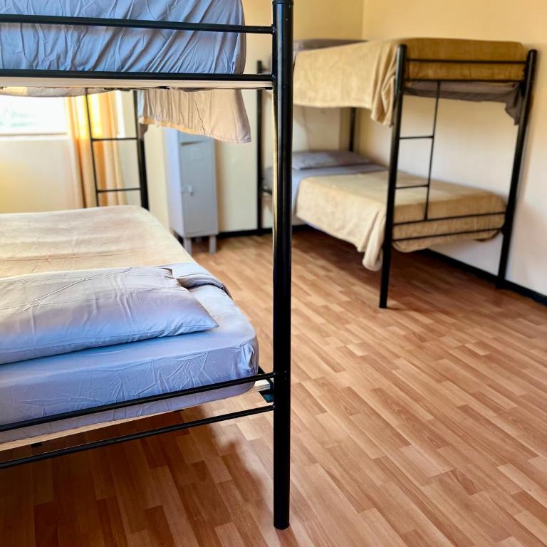 Hostal Brisa Serena - Bed in 4-Bed Mixed Dormitory Room - 1