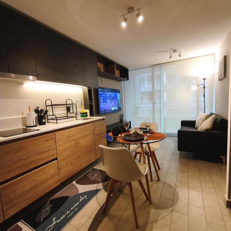 Cozy and modern apartment in Santiago - One-Bedroom Apartment - 17
