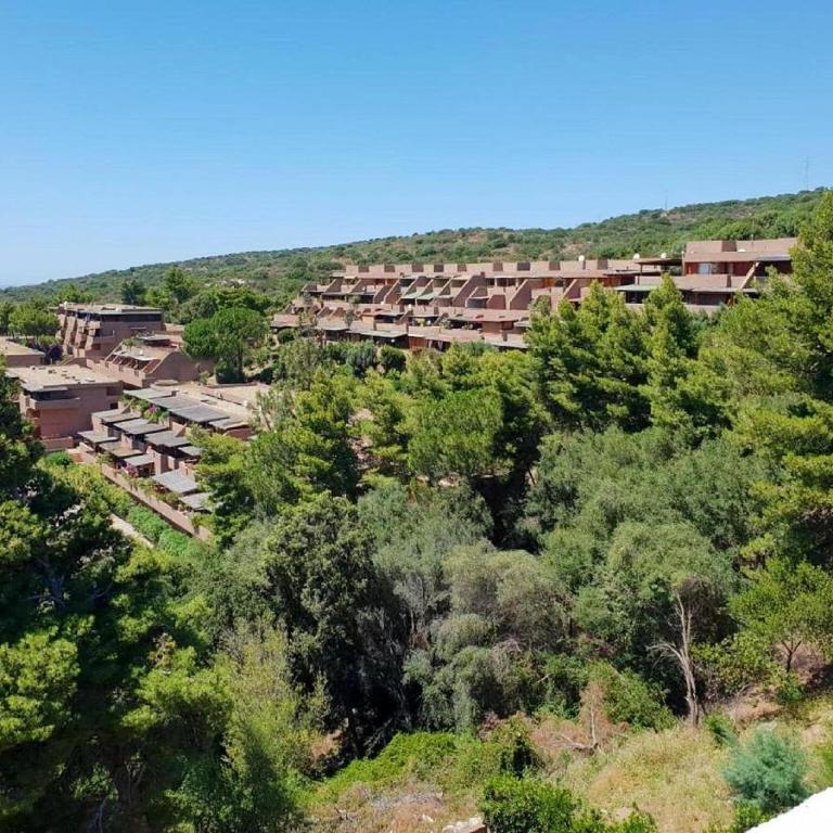 Apartment near Golfo di Cugnana - Appartamento - 26