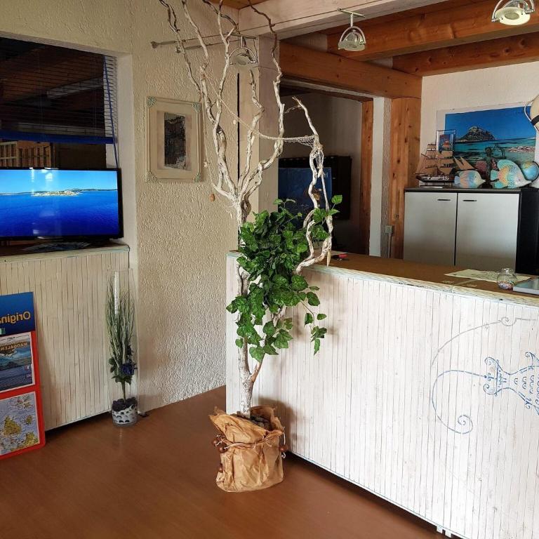 Apartment near Golfo di Cugnana - Appartamento - 19