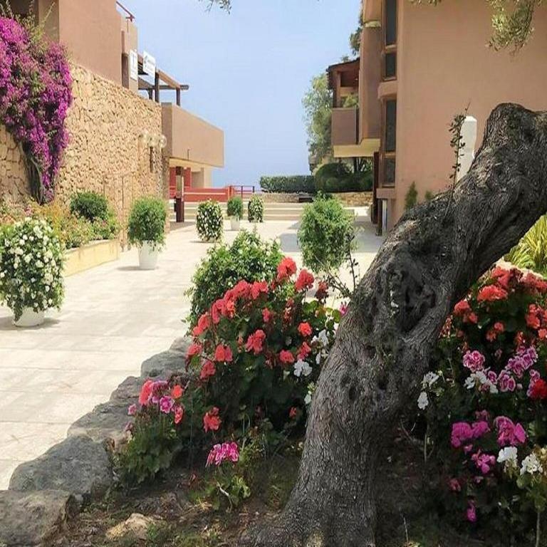 Apartment near Golfo di Cugnana - Appartamento - 29