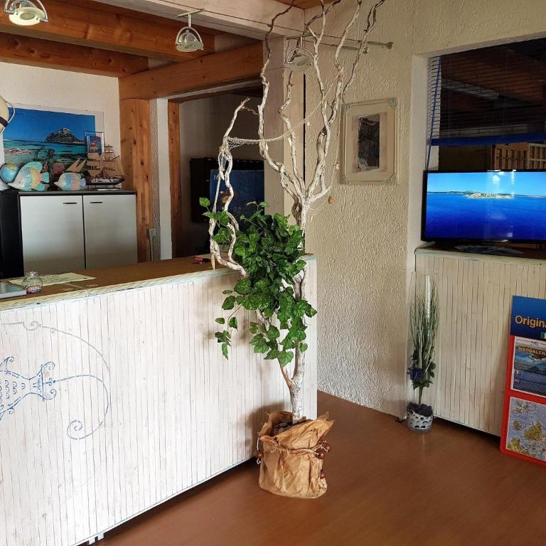 Apartment near Golfo di Cugnana - Appartamento - 8