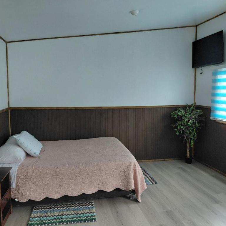 Cabaña a 800 metros del centro de cunco - One-Bedroom House - 2
