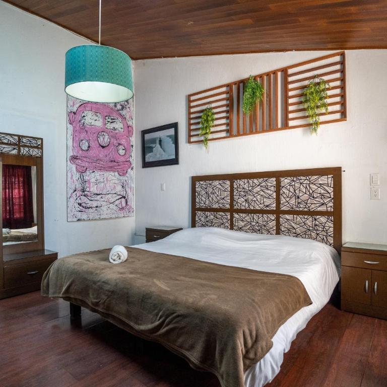 Chapalita Grand House - Eight-Bedroom House - 48