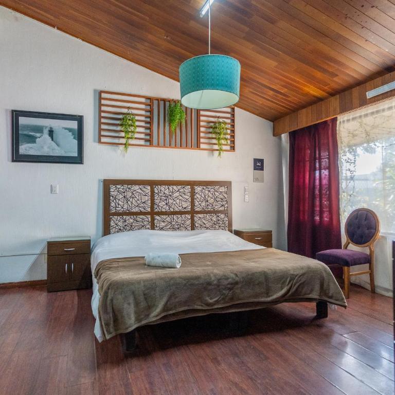 Chapalita Grand House - Eight-Bedroom House - 51