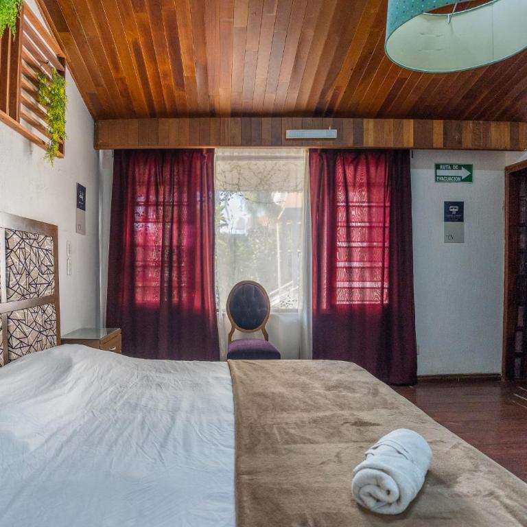 Chapalita Grand House - Eight-Bedroom House - 56