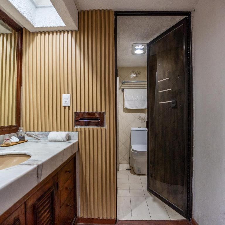 Chapalita Grand House - Eight-Bedroom House - 64