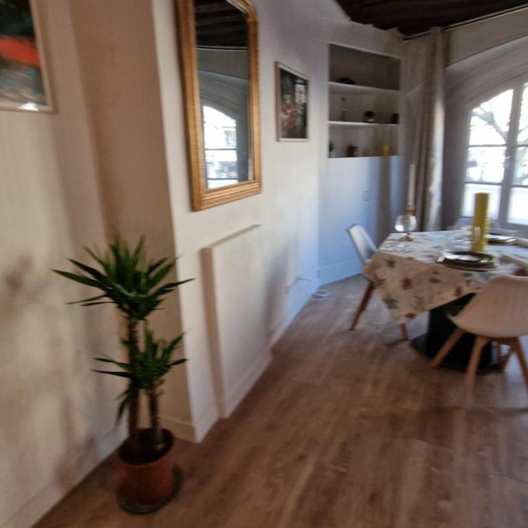 Gare Montoparnasse ,awesome, 76 m2 2 bedroom,,center of st Germain ,5 mins Eiffel tour and Louvre meusm ,2 mins latin dustrict and Cathedral of Notre of Paris - Appartement 1 Chambre - 34