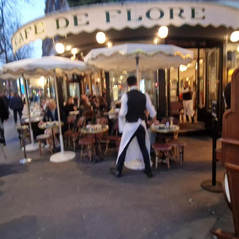 Gare Montoparnasse ,awesome, 76 m2 2 bedroom,,center of st Germain ,5 mins Eiffel tour and Louvre meusm ,2 mins latin dustrict and Cathedral of Notre of Paris - Appartement 1 Chambre - 6
