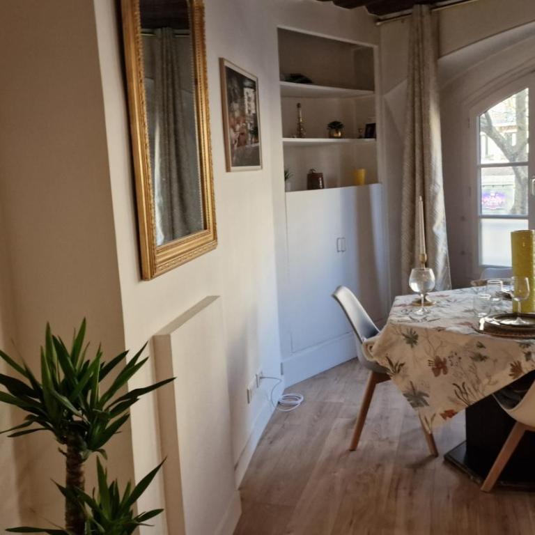 Gare Montoparnasse ,awesome, 76 m2 2 bedroom,,center of st Germain ,5 mins Eiffel tour and Louvre meusm ,2 mins latin dustrict and Cathedral of Notre of Paris - Appartement 1 Chambre - 40
