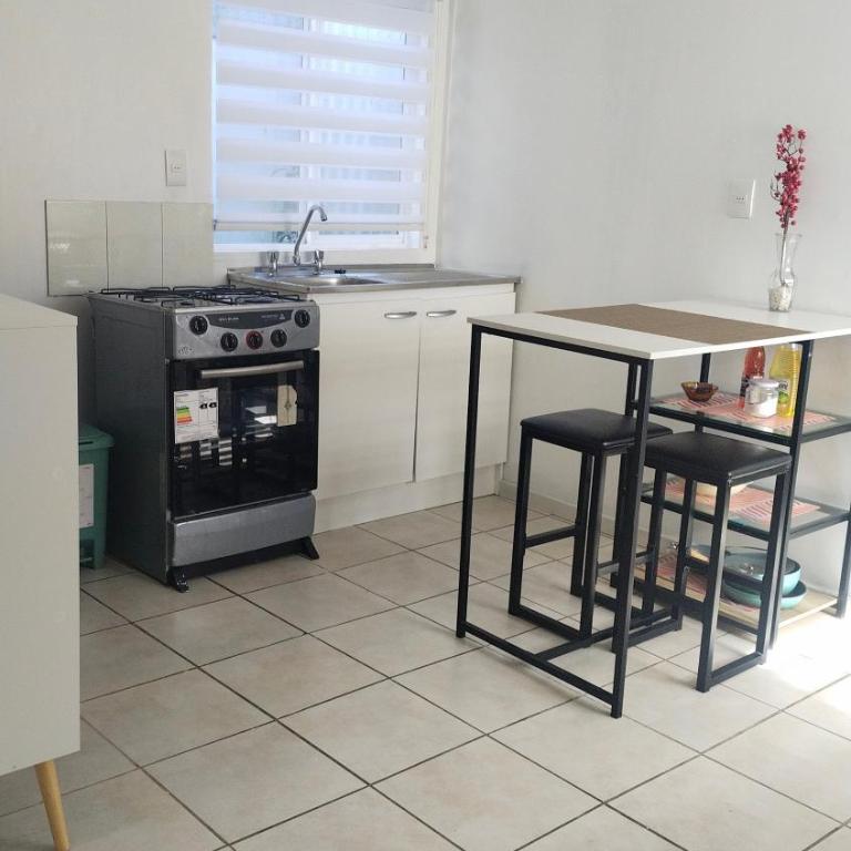 Petrohue I - One-Bedroom Apartment - 19