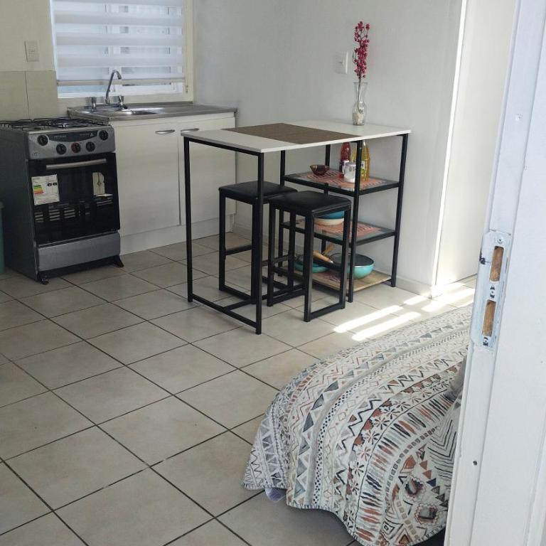 Petrohue I - One-Bedroom Apartment - 22