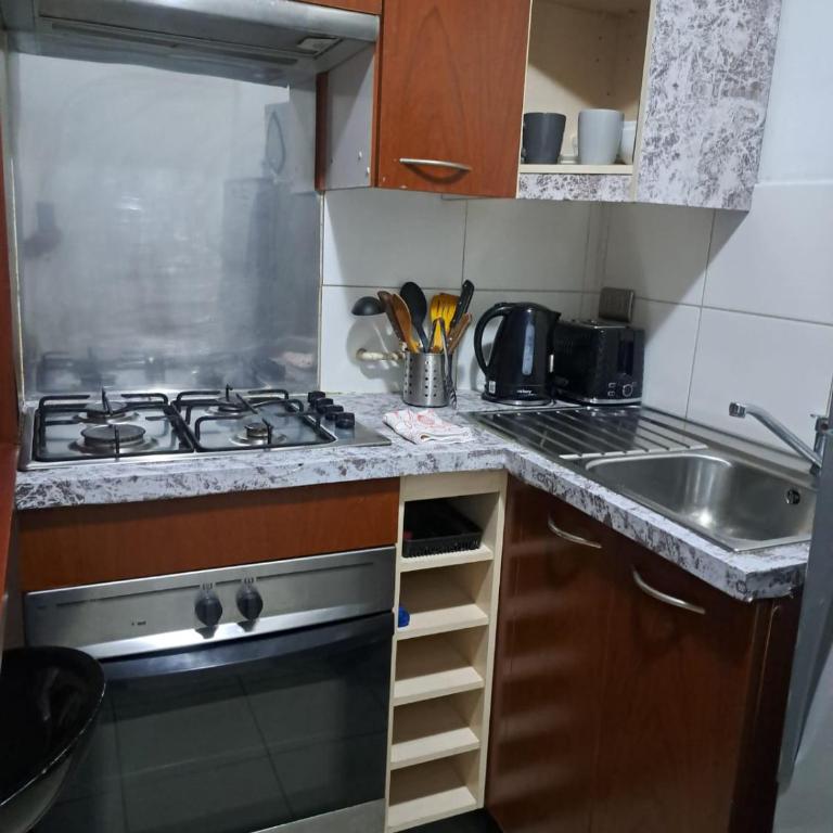 Deptos Santiago Bellas Artes - One-Bedroom Apartment - 9