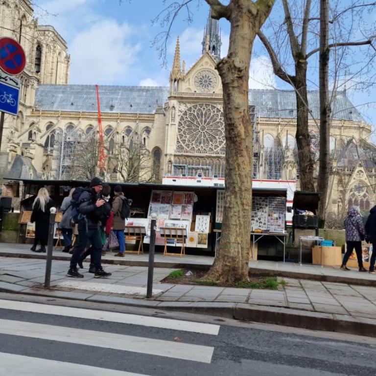 Gare Montoparnasse ,awesome, 76 m2 2 bedroom,,center of st Germain ,5 mins Eiffel tour and Louvre meusm ,2 mins latin dustrict and Cathedral of Notre of Paris - Appartement 1 Chambre - 17