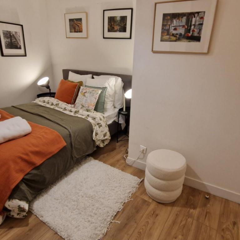 Gare Montoparnasse ,awesome, 76 m2 2 bedroom,,center of st Germain ,5 mins Eiffel tour and Louvre meusm ,2 mins latin dustrict and Cathedral of Notre of Paris - Appartement 1 Chambre - 18