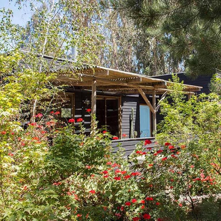 Cabañas de Gran Capacidad La Campana ruka Olmué - Two-Bedroom House - 29