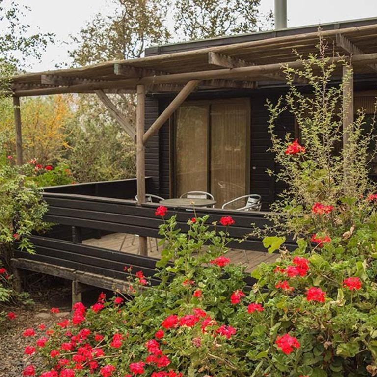 Cabañas de Gran Capacidad La Campana ruka Olmué - Two-Bedroom House - 34