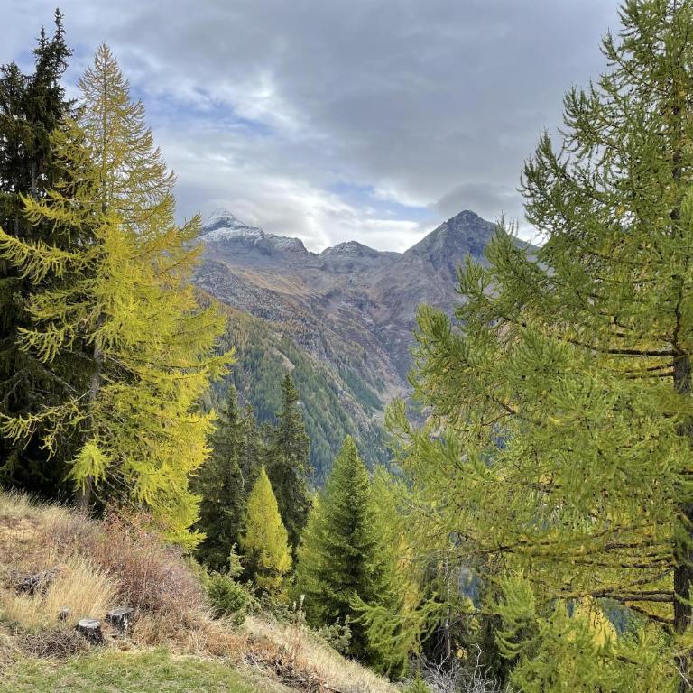 Labbrunnu OG in den Walliser Alpen - Apartment mit 2 Schlafzimmern - 38
