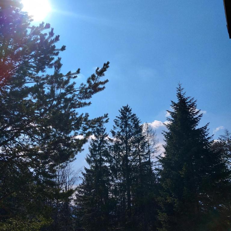 Spa&Wellness "BAE" - Zlatibor - One-Bedroom Apartment - 11