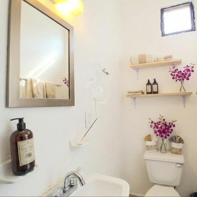 Boutique Suites, Riviera Maya Base Camp - 5th Ave 2 Min, Cozumel Ferry 5 Min, ADO 3 Min - One-Bedroom Apartment with Terrace - 5