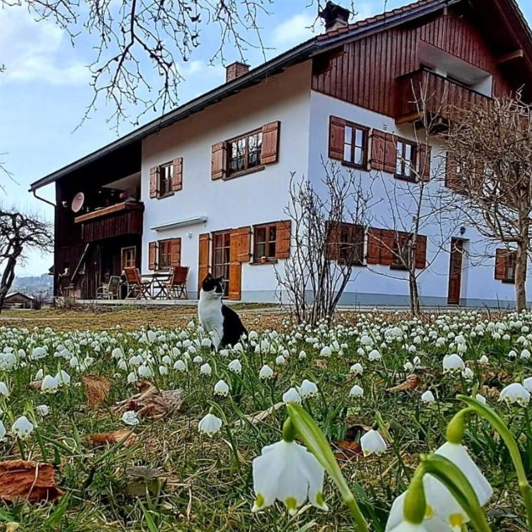 Hartmann´s Nescht - Apartment mit 1 Schlafzimmer und Terrasse - 18