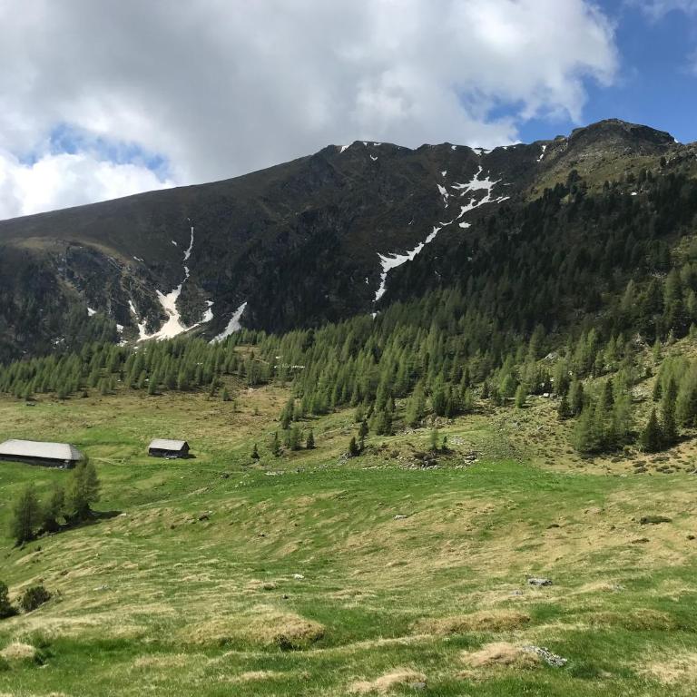 TANAs Almhütte - Haus mit 3 Schlafzimmern - 19