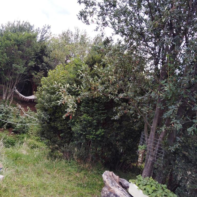 Cabaña el turbio - Two-Bedroom Apartment - 18