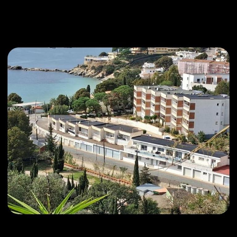 Appartement Almadrava Roses - Apartamento de 1 dormitorio - 3
