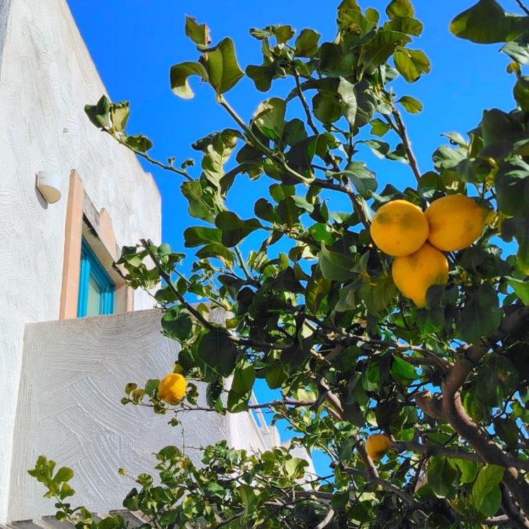 Piccolo Principe Romantic Sicilian Stay Free Private Parking - Haus mit 1 Schlafzimmer - 55