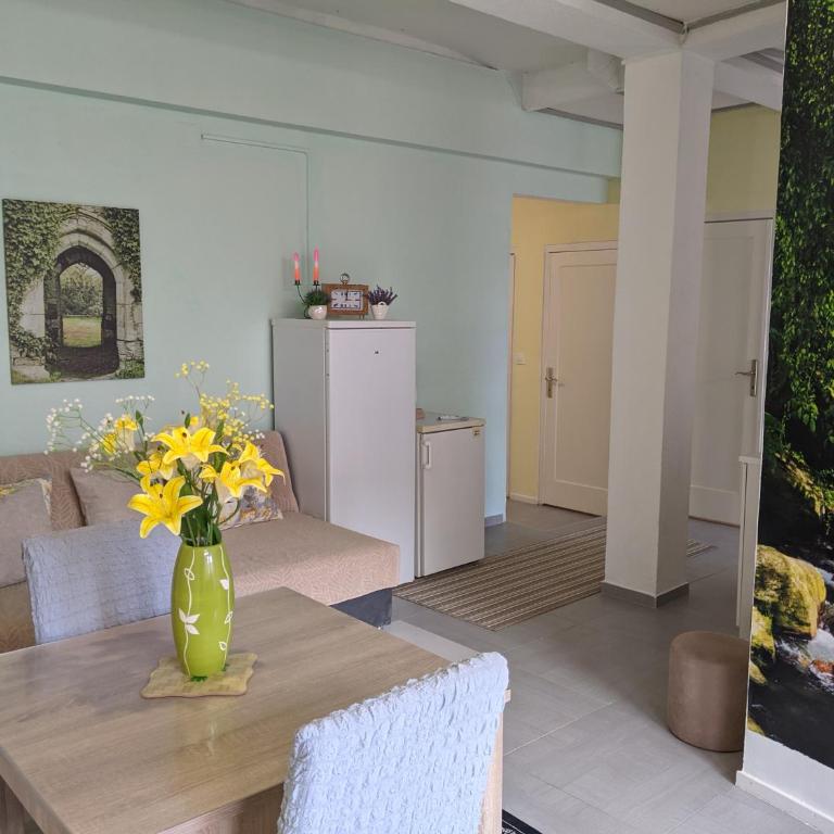 Apartman D Ibukic - Appartement 5 Chambres - 36