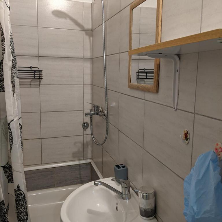 Apartman D Ibukic - Appartement 5 Chambres - 35