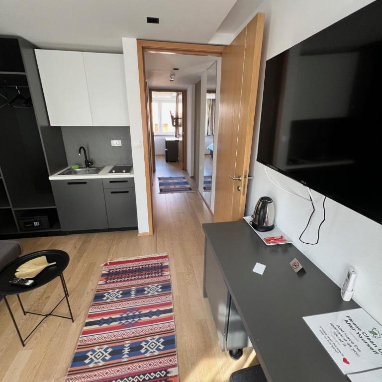 Studio Apartments Visit Point- Old town Sarajevo - Deluks Apartman s 1 Spavaćom Sobom i Pogledom na Vrt - 5