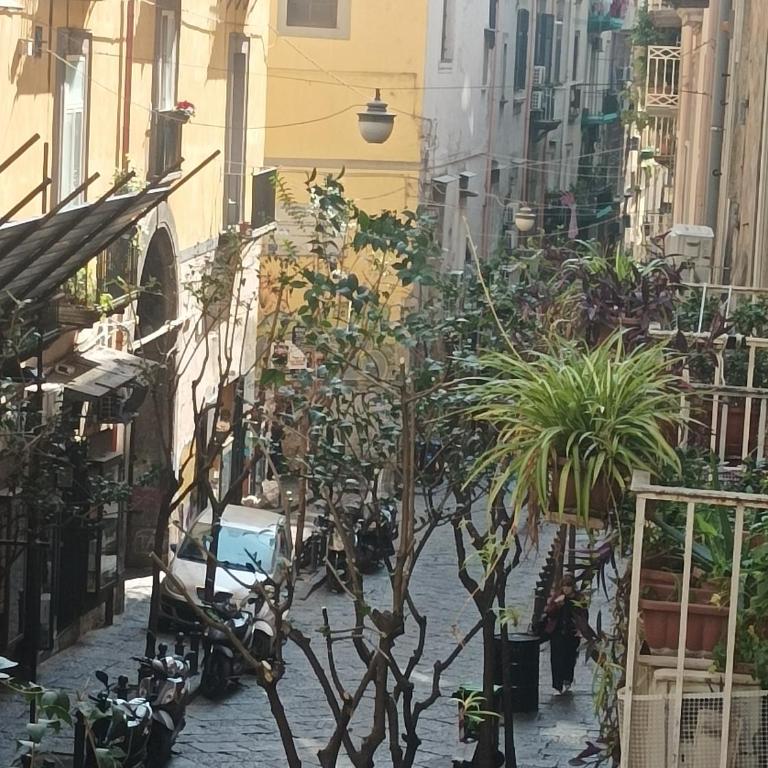 VAN Vieni a Napoli - Appartamento con 2 Camere da Letto - 19