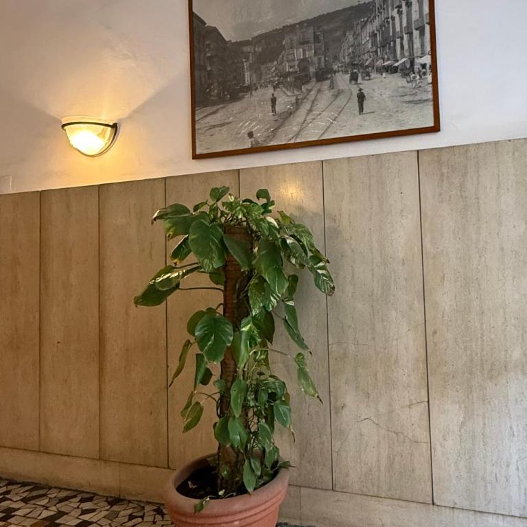 Casa Mia nel cuore di Napoli - Appartamento con 2 Camere da Letto - 56
