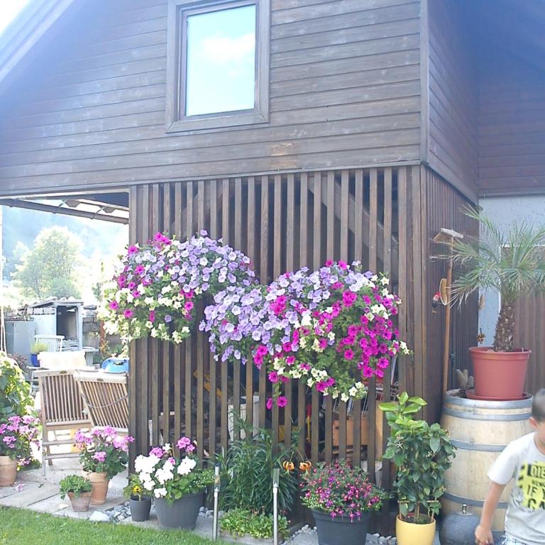 Ferienhaus Tüchler - Maison 3 Chambres - 32