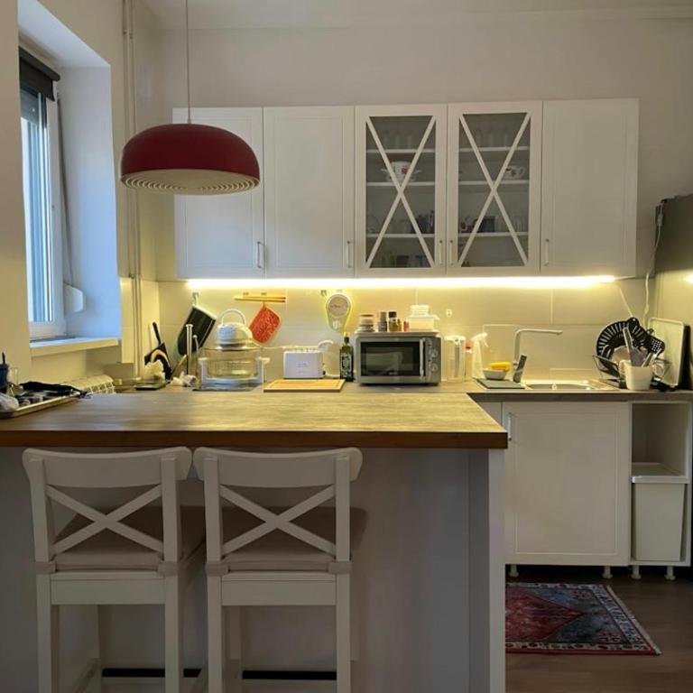 Historic and cozy Belgrade home - One-Bedroom Apartment - 1