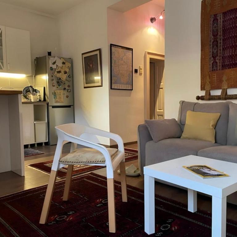 Historic and cozy Belgrade home - One-Bedroom Apartment - 2
