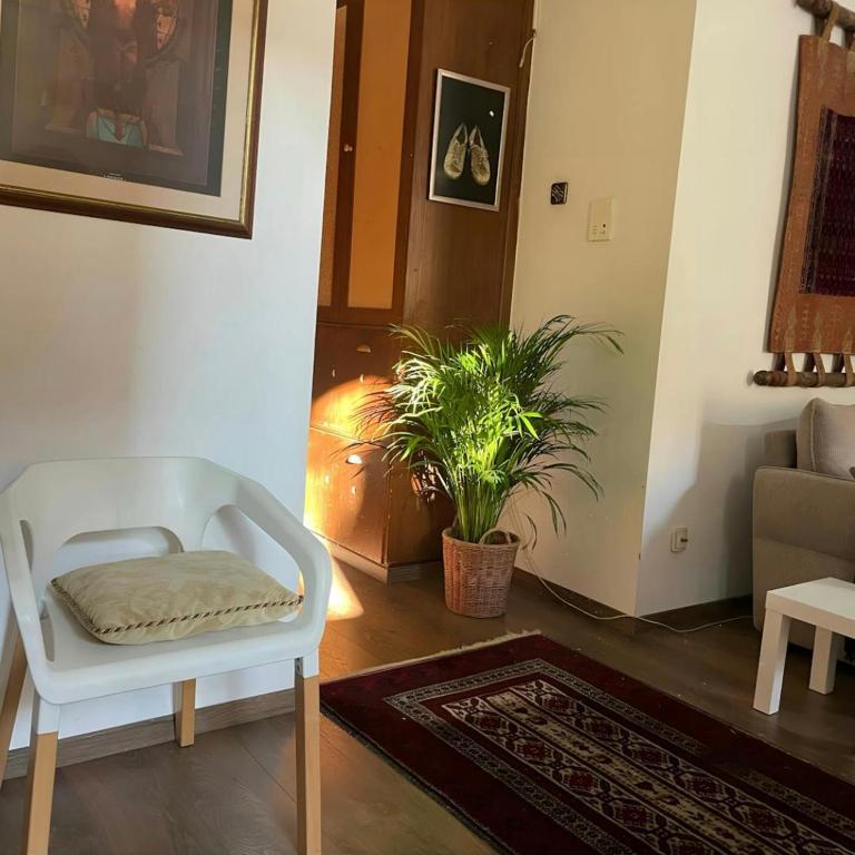 Historic and cozy Belgrade home - One-Bedroom Apartment - 9