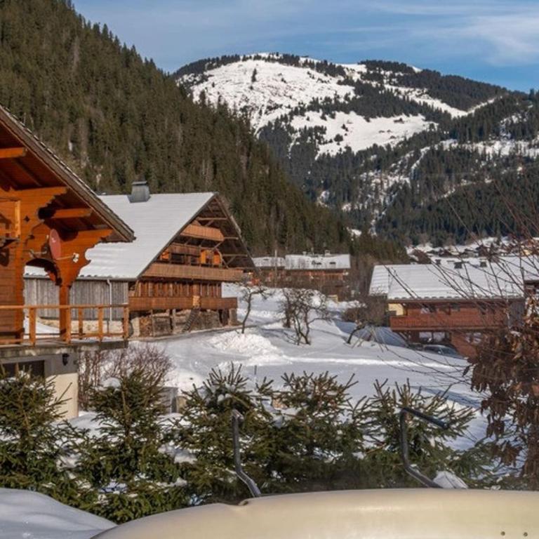 Chalet spacieux à Châtel pour 14 personnes avec sauna - FR-1-676-226 - Chalet - 28