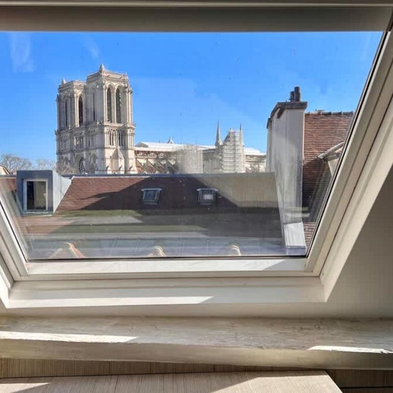 Rooftop Garden Triplex With AC Over Notre - Dame - Appartamento - 19