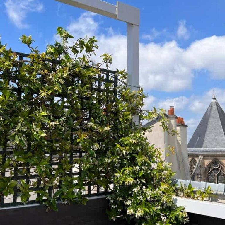 Rooftop Garden Triplex With AC Over Notre - Dame - Appartamento - 24