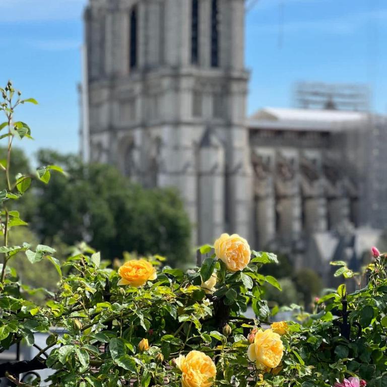 Rooftop Garden Triplex With AC Over Notre - Dame - Appartamento - 25