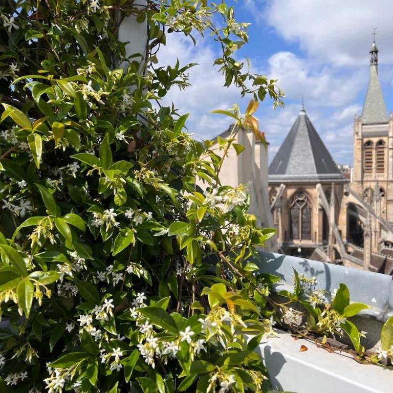 Rooftop Garden Triplex With AC Over Notre - Dame - Appartamento - 28