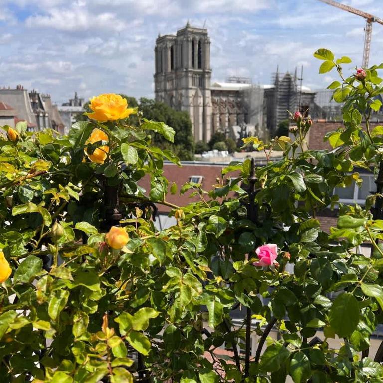 Rooftop Garden Triplex With AC Over Notre - Dame - Appartamento - 29