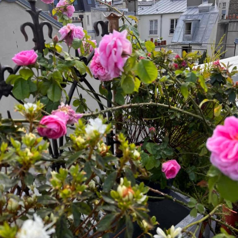 Rooftop Garden Triplex With AC Over Notre - Dame - Appartamento - 30