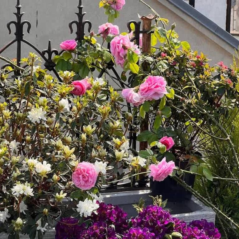 Rooftop Garden Triplex With AC Over Notre - Dame - Appartamento - 31