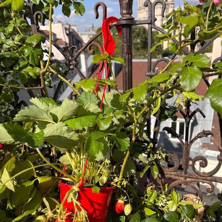 Rooftop Garden Triplex With AC Over Notre - Dame - Appartamento - 37