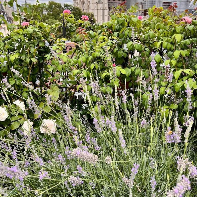 Rooftop Garden Triplex With AC Over Notre - Dame - Appartamento - 42